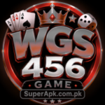 WGS456 Game