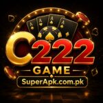 C222 Game
